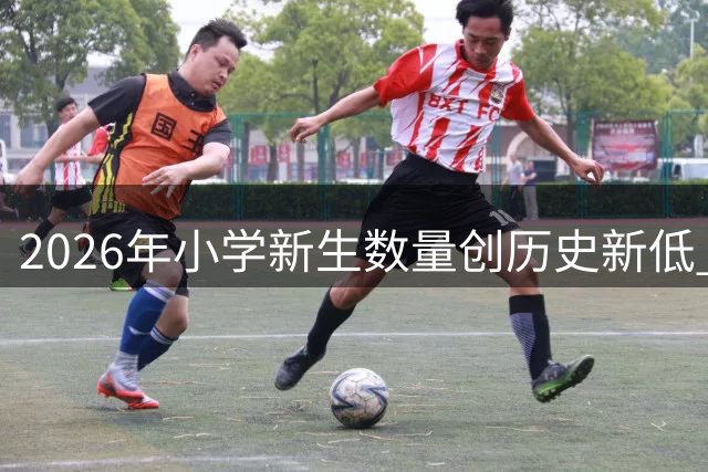 2026年小学新生数量创历史新低 教育格局面临重塑